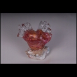 Winged Reef Heart 7 x 5 x 5 in.jpg